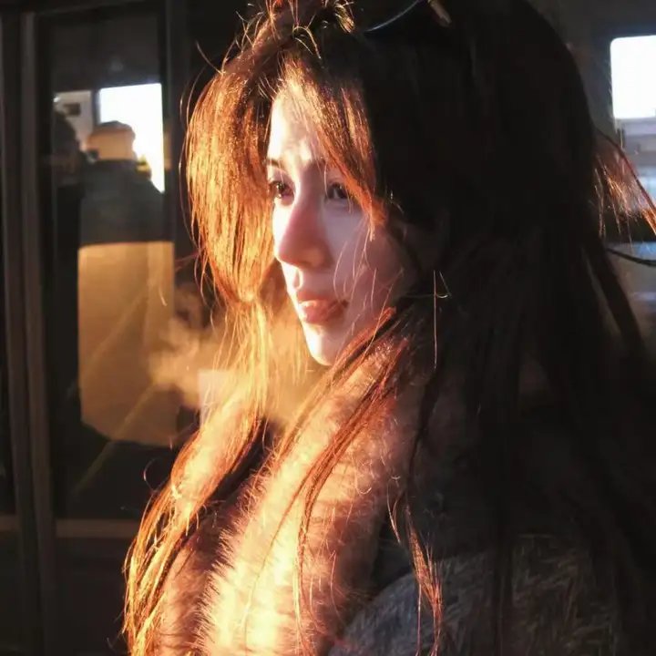 金刀秘卫之婳美人