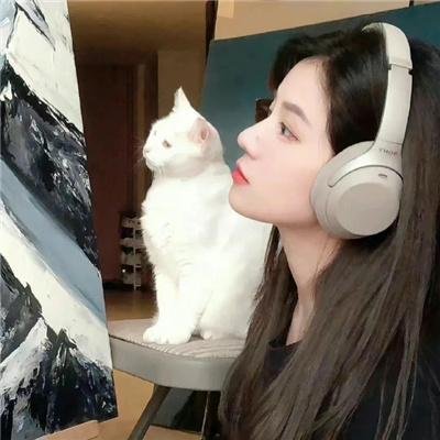 命转情真粤语