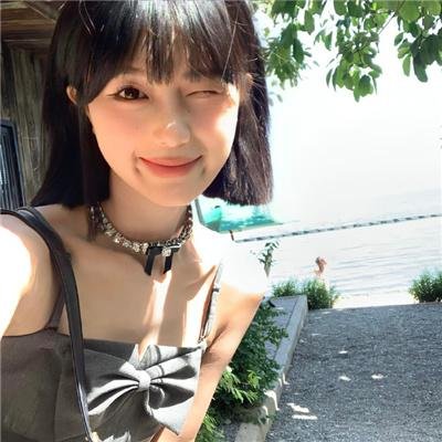 绽放的玫瑰